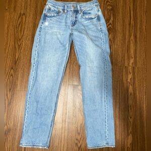 American Eagle Low Rise Straight (Short)